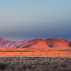 New Mexico