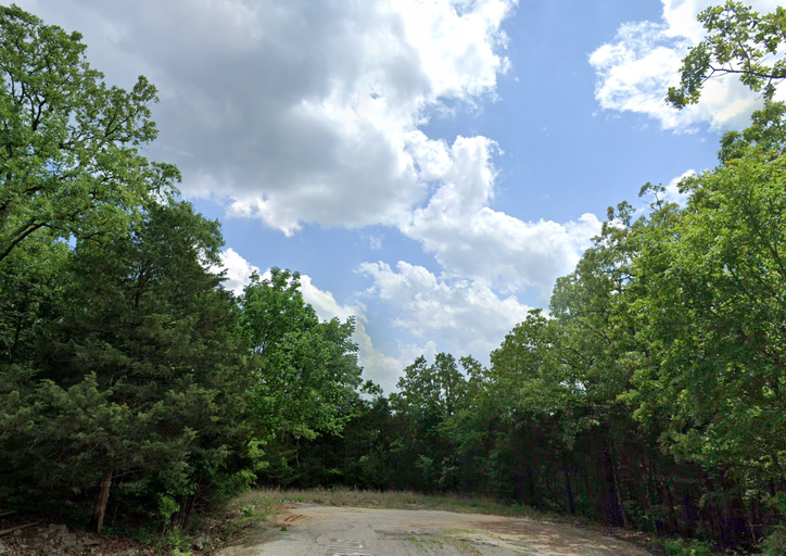 1114 S Twin Lakes Dr | Peaceful, Wooded Lot Perfect for Nature Lovers and Serenity Seekers. - Image 2